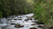 Hladiny toků jsou stále podprůměrné Hladiny toků jsou stále podprůměrné